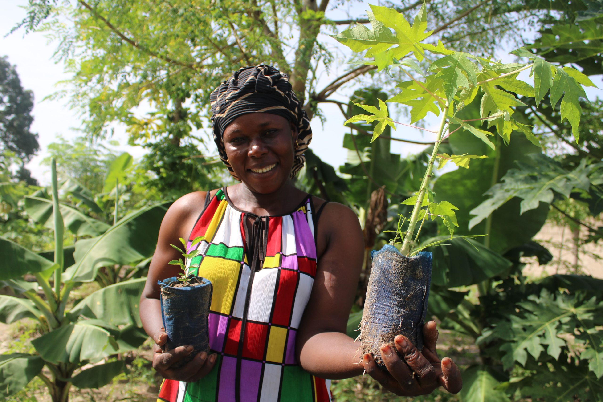 #GivingTuesday: Smoking Paper logra plantar más de 223.000 árboles con el apoyo de sus seguidores 1 Moncloa Smoking Paper Giving Tuesday 1 1 scaled Moncloa