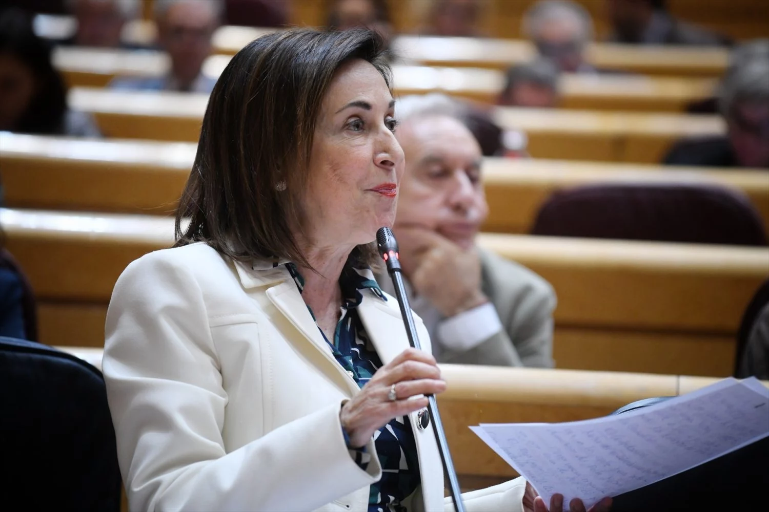 Margarita Robles, ministra de Defensa (Fuente: Agencias)