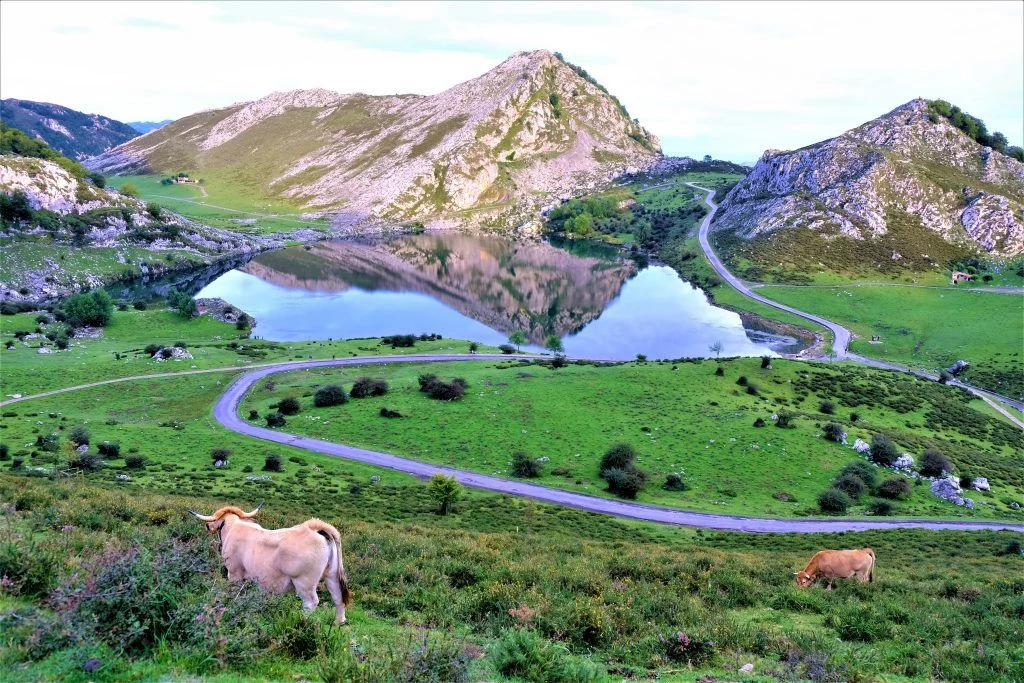 3 destinos españoles que te enamorarán si viajas en autocaravana esta primavera 2 Moncloa LOS PICOS DE EUROPA: NATURALEZA EN ESTADO PURO