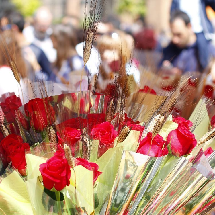 Puesto de rosas en una calle de barelona Sant Jordi 1 1 1 Moncloa