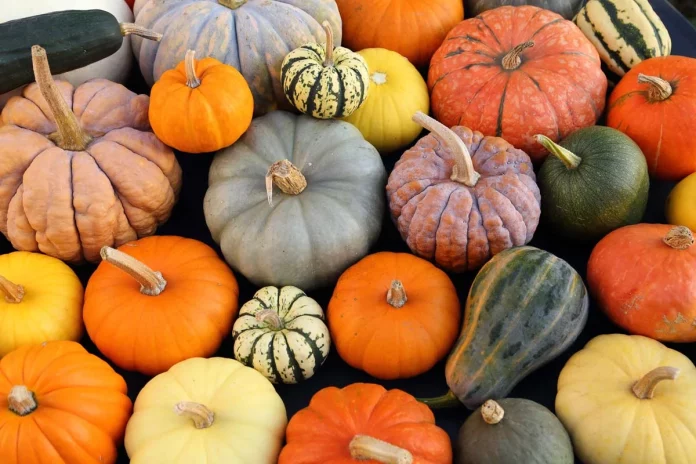 calabaza