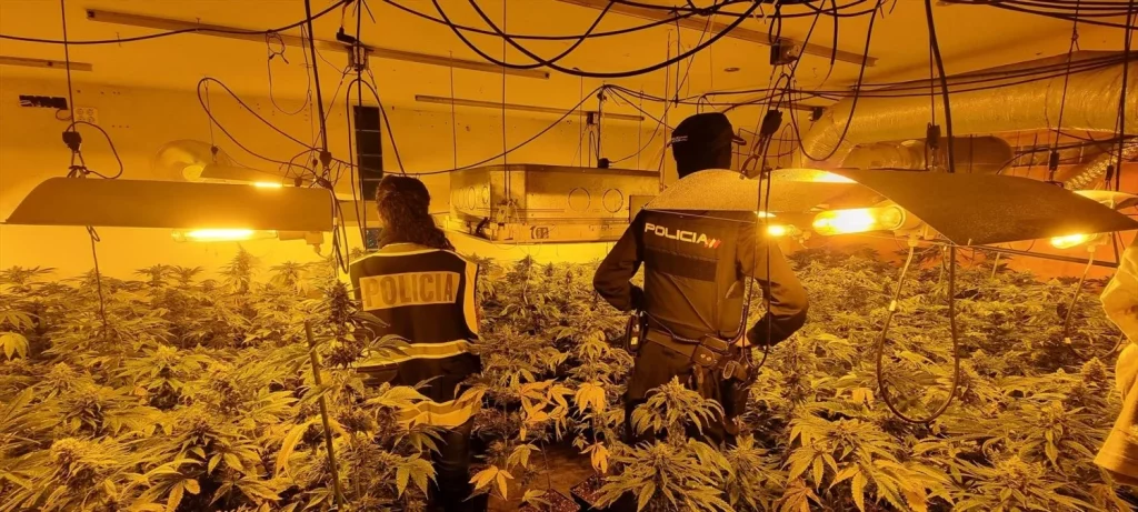 De la A-2 a la A-42: la ruta de la marihuana de Madrid 2 Moncloa Policía Nacional, en una redada anti droga (Fuente: Agencias)