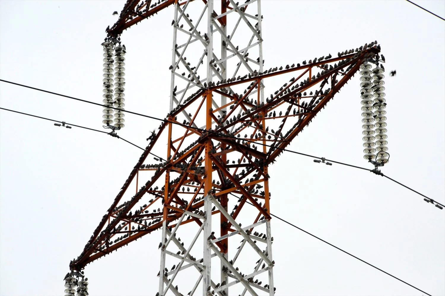 Imagen de archivo de una torre eléctrica (Fuente: Agencias)