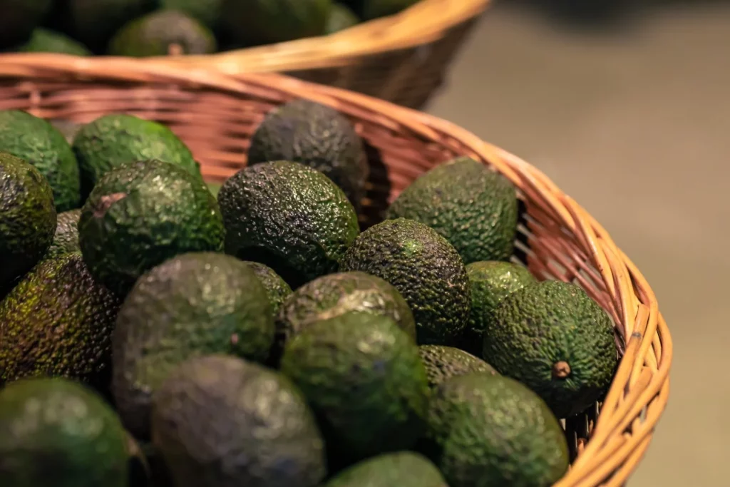 basket with avocado supermarket close up Moncloa
