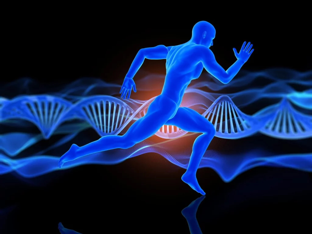 Consejos útiles para tener el cuerpo que deseas con o sin ADN