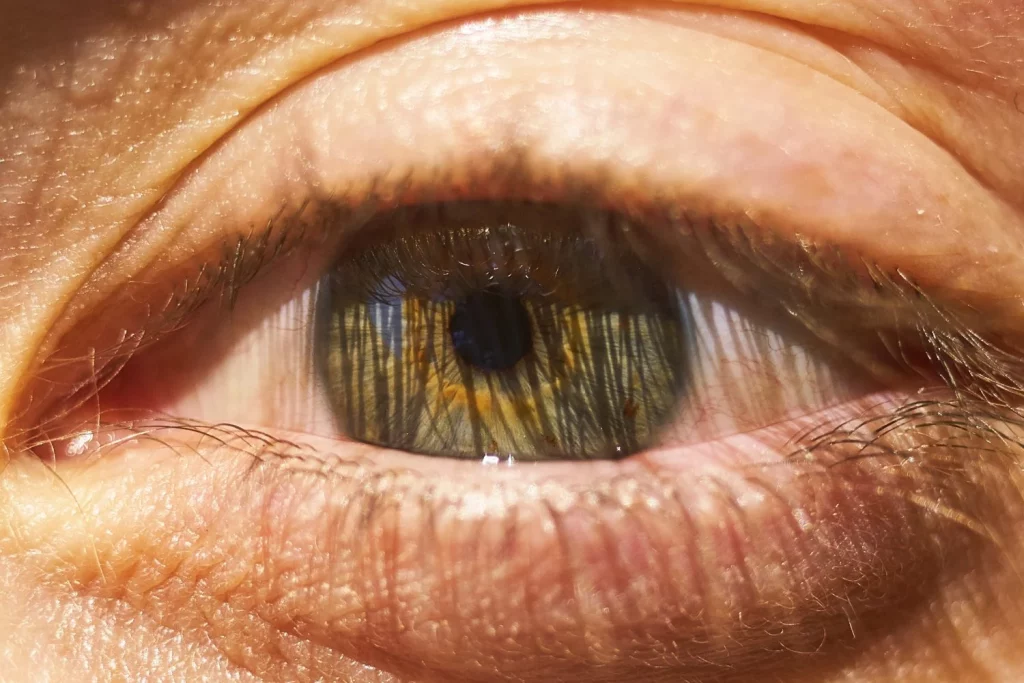 ¿CIENCIA O CIENCIA FICCIÓN?: LA VERDAD SOBRE EL REFLEJO PUPILAR Y LA ATRACCIÓN