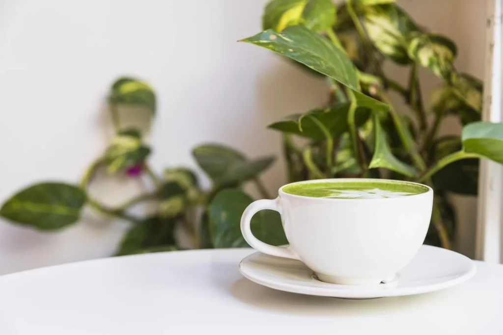 La verdad sobre el café verde: el "quemagrasa milagroso" que no es tan milagroso 3 Moncloa ÁCIDO CLOROGÉNICO AL DESCUBIERTO: EL SUPUESTO MOTOR "QUEMAGRASA"