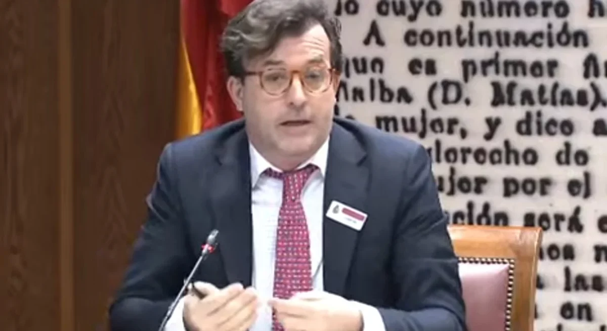 Ricardo Mar, jefe del Gabinete de Ábalos, en el Senado. EUROPA PRESS