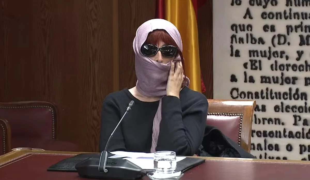 Patricia Úriz, disfrazada en el Senado, ante la comisión de investigación del caso Koldo | Fuente: Senado