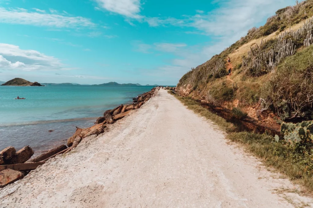Agosto sorprende con un sendero costero secreto de Cantabria: 2 playas vírgenes en un recorrido de menos de una hora 2 Moncloa BIODIVERSIDAD EXCEPCIONAL: UN ECOSISTEMA ÚNICO EN EUROPA