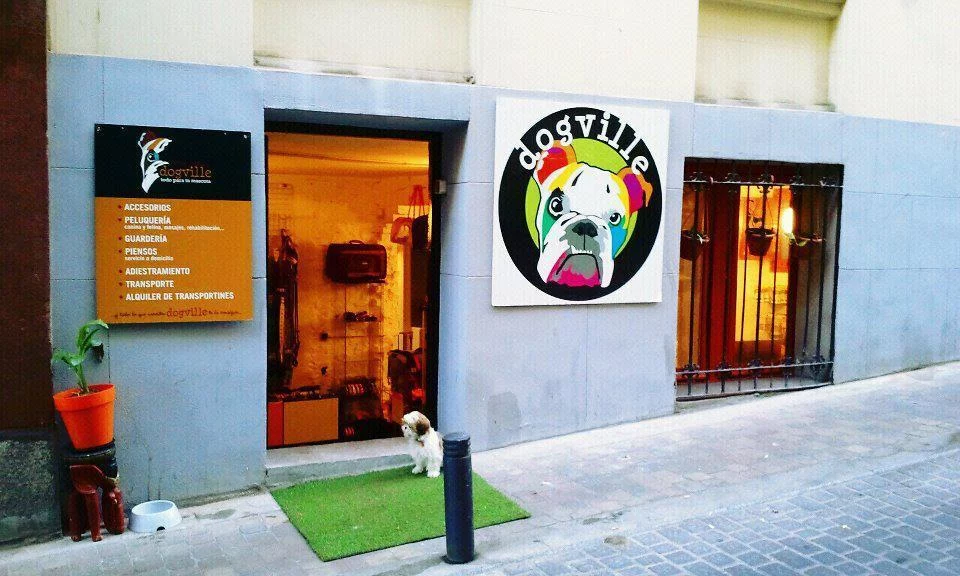 El resort canino en Madrid donde puedes ver a tu perro nadar en vivo y elegirle un menú premium