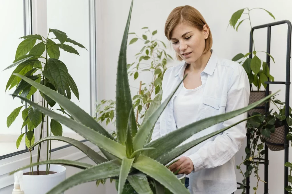 BENEFICIOS CIENTÍFICAMENTE COMPROBADOS PARA TU DESCANSO
