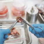 La carne de laboratorio conquista los supermercados españoles y revoluciona el mundo de la alimentación ¿La probarías?
