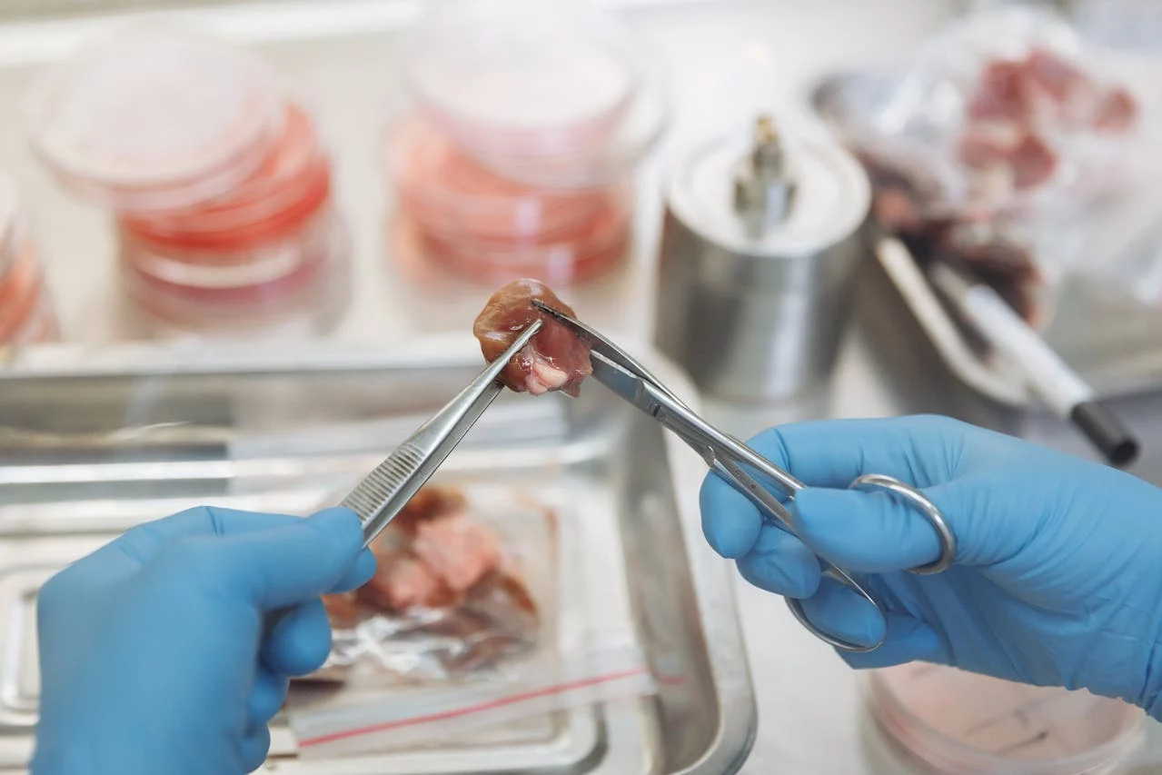 La carne de laboratorio conquista los supermercados españoles y revoluciona el mundo de la alimentación ¿La probarías?
