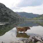 Descubre el pueblo de Asturias donde dicen que se come el mejor, y no es Oviedo ni Gijón