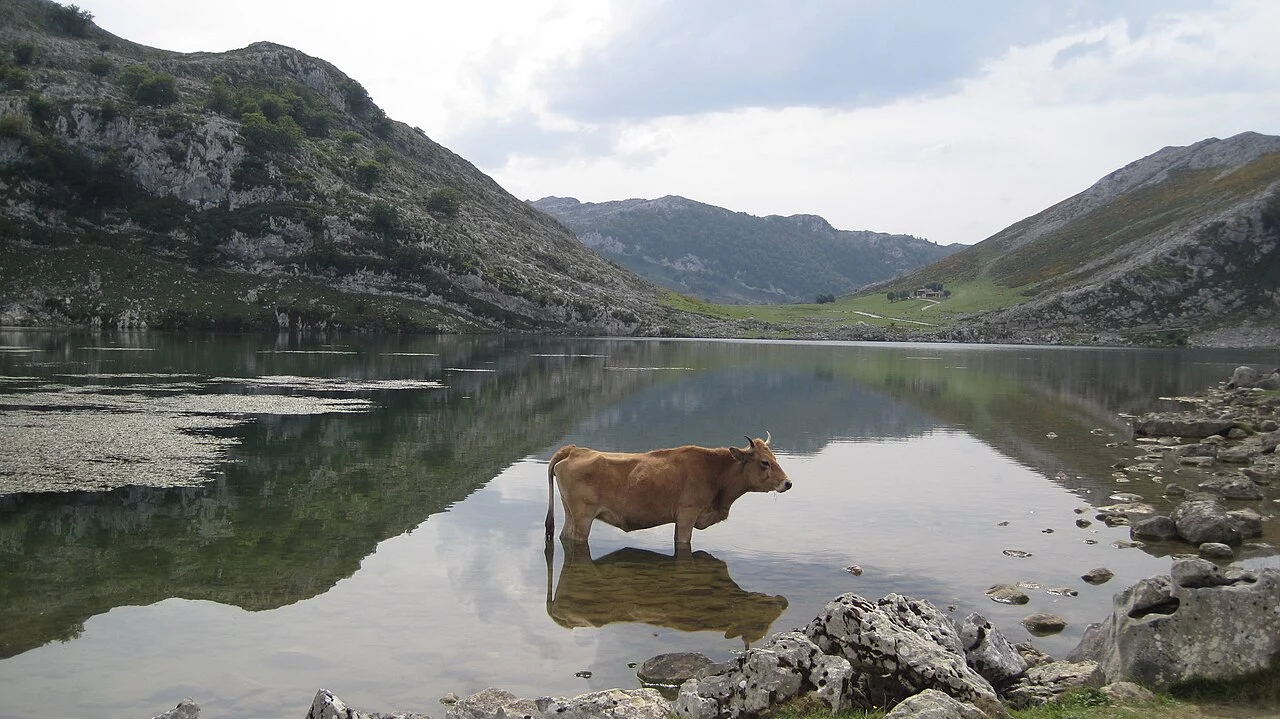 Descubre el pueblo de Asturias donde dicen que se come el mejor, y no es Oviedo ni Gijón
