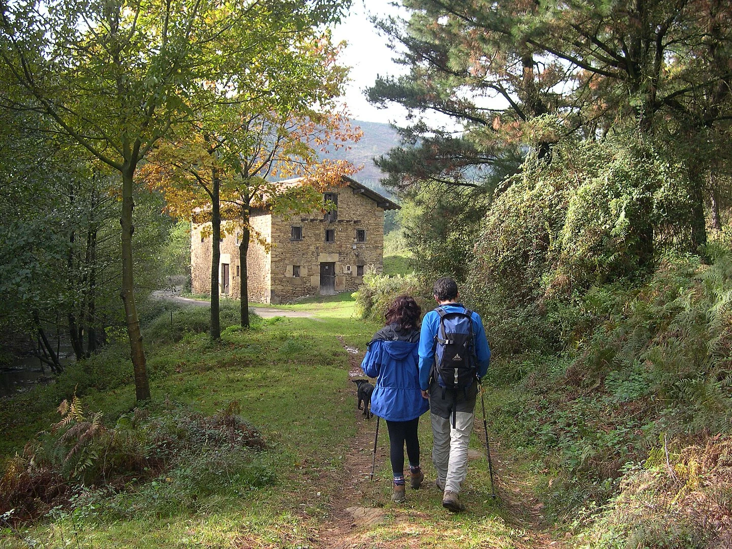 ¿Un bosque sacado de 'El Señor de los Anillos'? Existe, es mágico y está en el País Vasco
