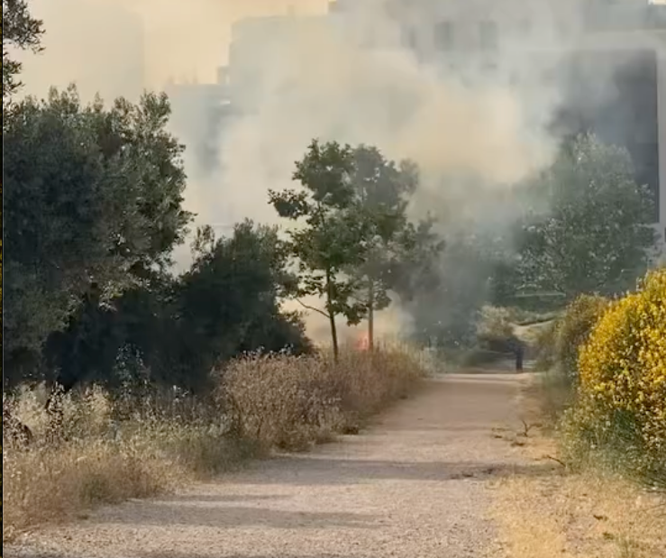 El incendio del Olivar de Rivas Vaciamadrid señala a la empresa municipal de servicios 2 Moncloa Captura de pantalla 2025 06 10 a las 12.57.38 Moncloa
