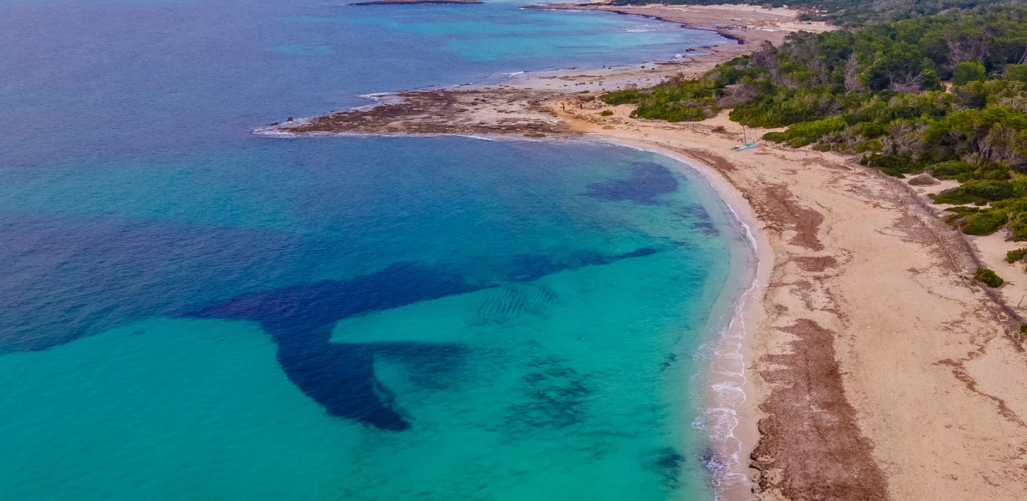 ¿Sueñas con el Caribe sin salir de España? Esta playa paradisíaca de Mallorca, con dunas y pinos, es tu destino idílico para relajarte