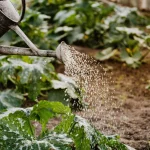 Amazon tiene el accesorio que salva tu jardín del calor por menos de 10 €