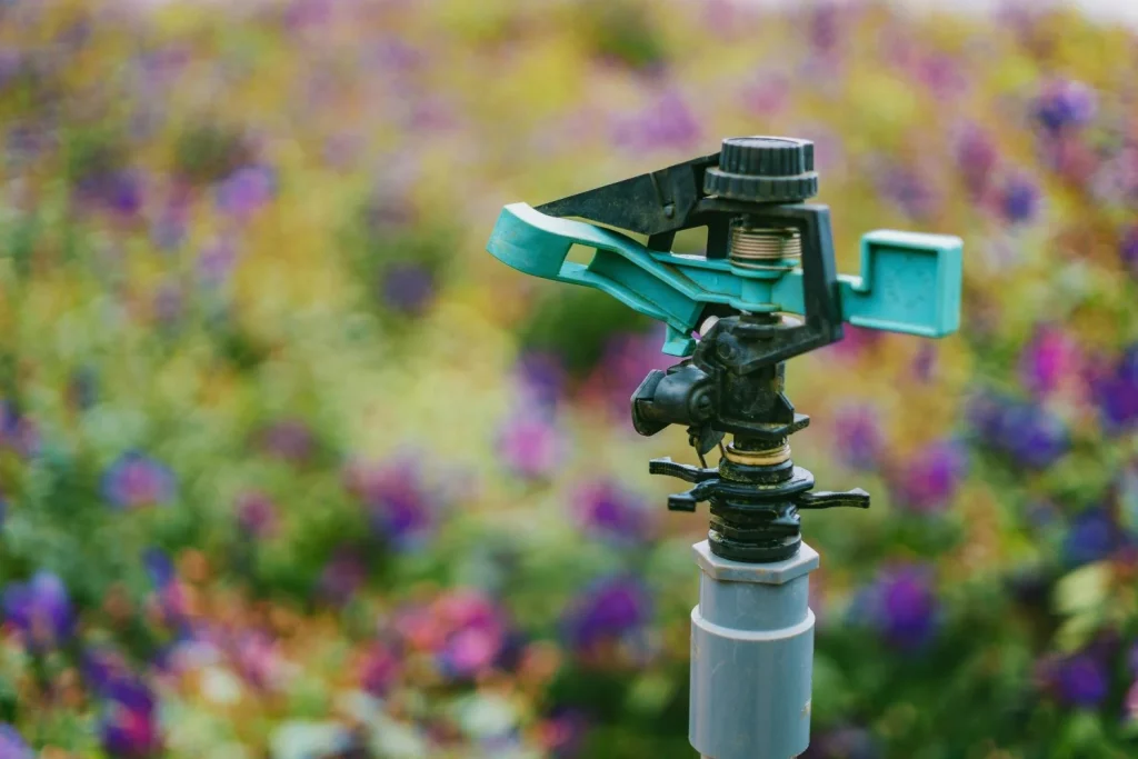 Cuida tu jardín en verano con Amazon