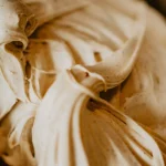 El helado de Mercadona con brownie que va a triunfar este verano, y no supera los 5 euros