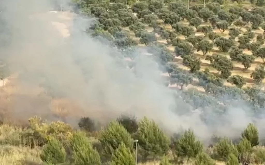 El incendio del Olivar de Rivas Vaciamadrid señala a la empresa municipal de servicios 1 Moncloa incendio olivar 2 1024x639 1 Moncloa