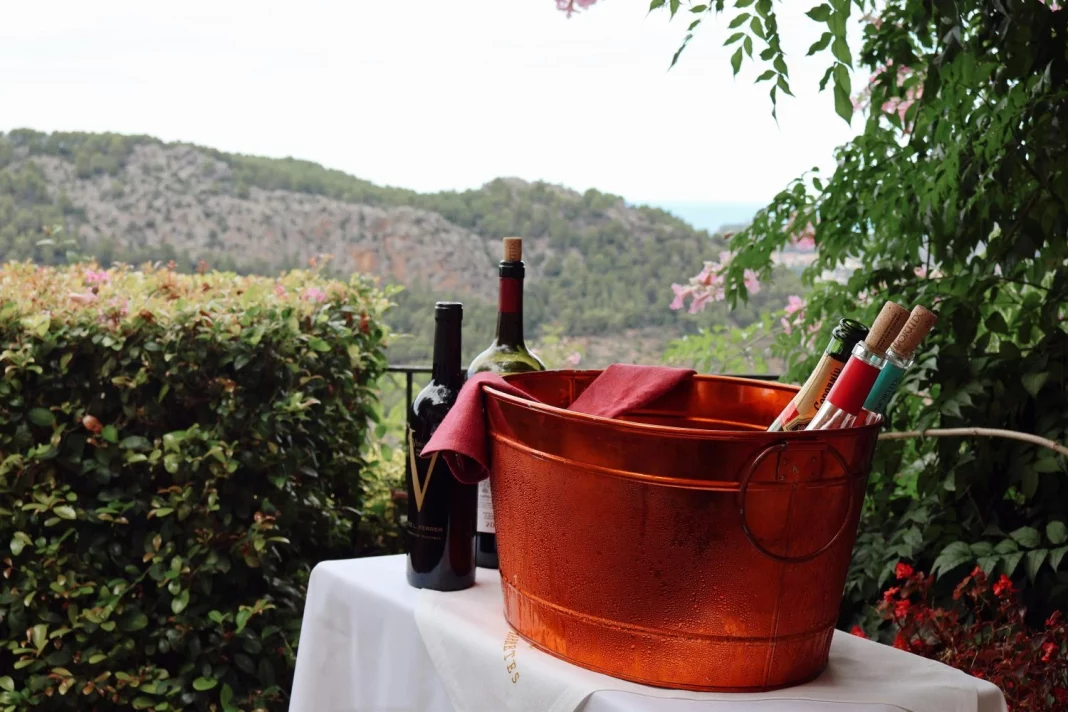 El paraíso del vino lo encuentras el Galicia