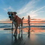 Así es como me libré de la arena en la playa: 5 trucos virales que funcionan de verdad