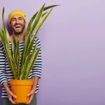 Esta es la planta que purifica el aire de tu hogar y que deberías comprar hoy mismo
