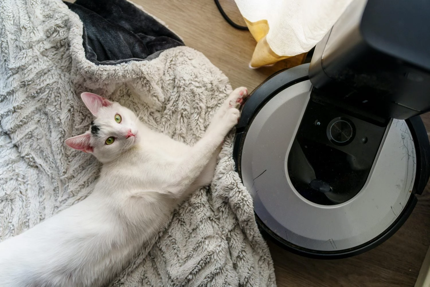Este robot de Amazon te limpia la casa mejor que tú y sin que muevas un dedo