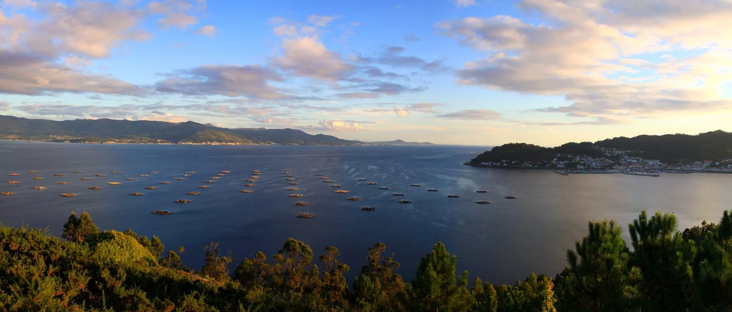 No es Grecia ni Maldivas: esta playa de España tiene arena blanca y agua turquesa… y está escondida en Galicia