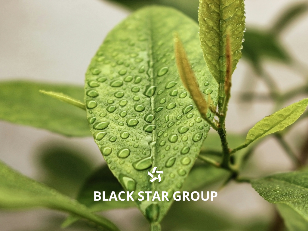 Black Star Group lanza nuevas soluciones para maquinaria agrcola e industrial Moncloa