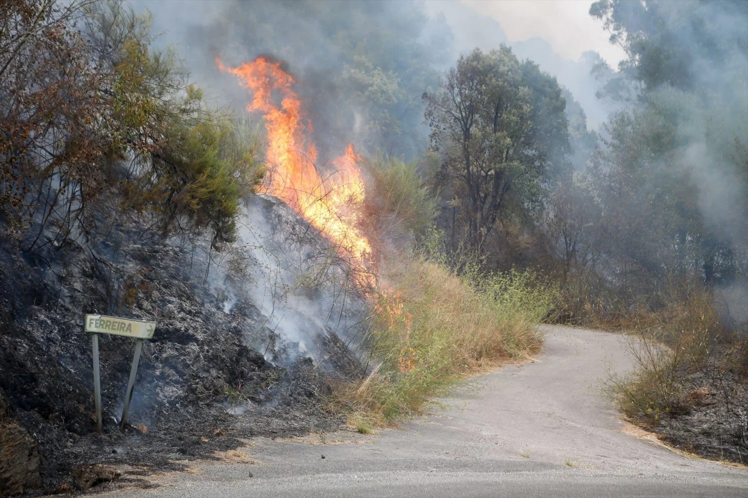 Incendio forestal se acerca a Quiroga, a 17 de agosto de 2025, en Quiroga, Lugo, Galicia (Fuente: Agencias)