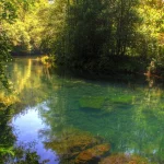 Llega la primavera: el bosque gallego que parece sacado de ‘El Señor de los Anillos’ ideal para recargar energías