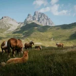 Las mejores rutas de senderismo en los Pirineos: una escapada barata y apasionante