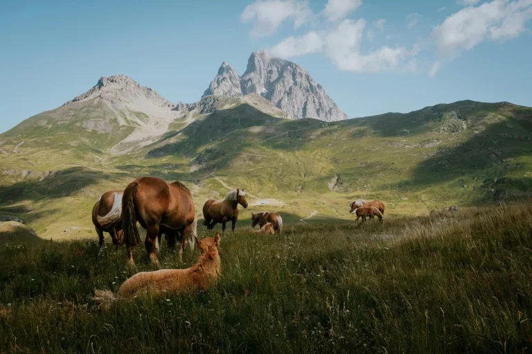 Las mejores rutas de senderismo en los Pirineos: una escapada barata y apasionante