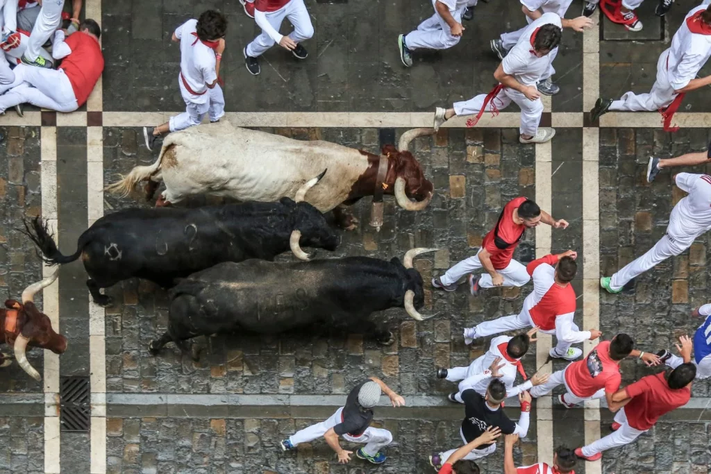 Alcalá cierra agosto a lo grande: toros, conciertos gratis y buen tapeo para todos 5 Moncloa Alcalá celebra las fiestas taurinas