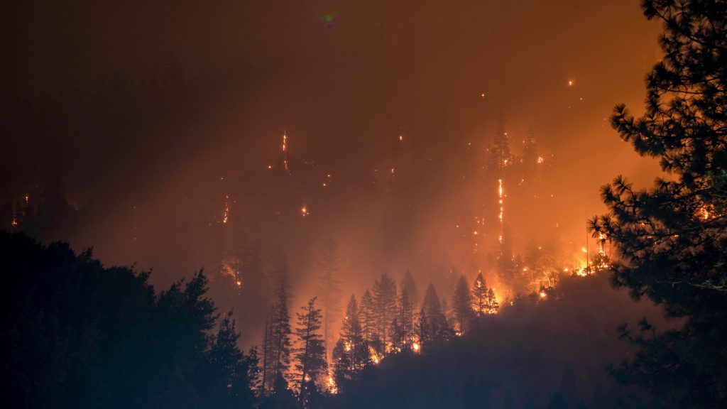PP y PSOE siguen empeñados en mantener la batalla política gracias a los incendios 1 Moncloa Incendio forestal en España, agosto 2025 (Fuente: Agencias)