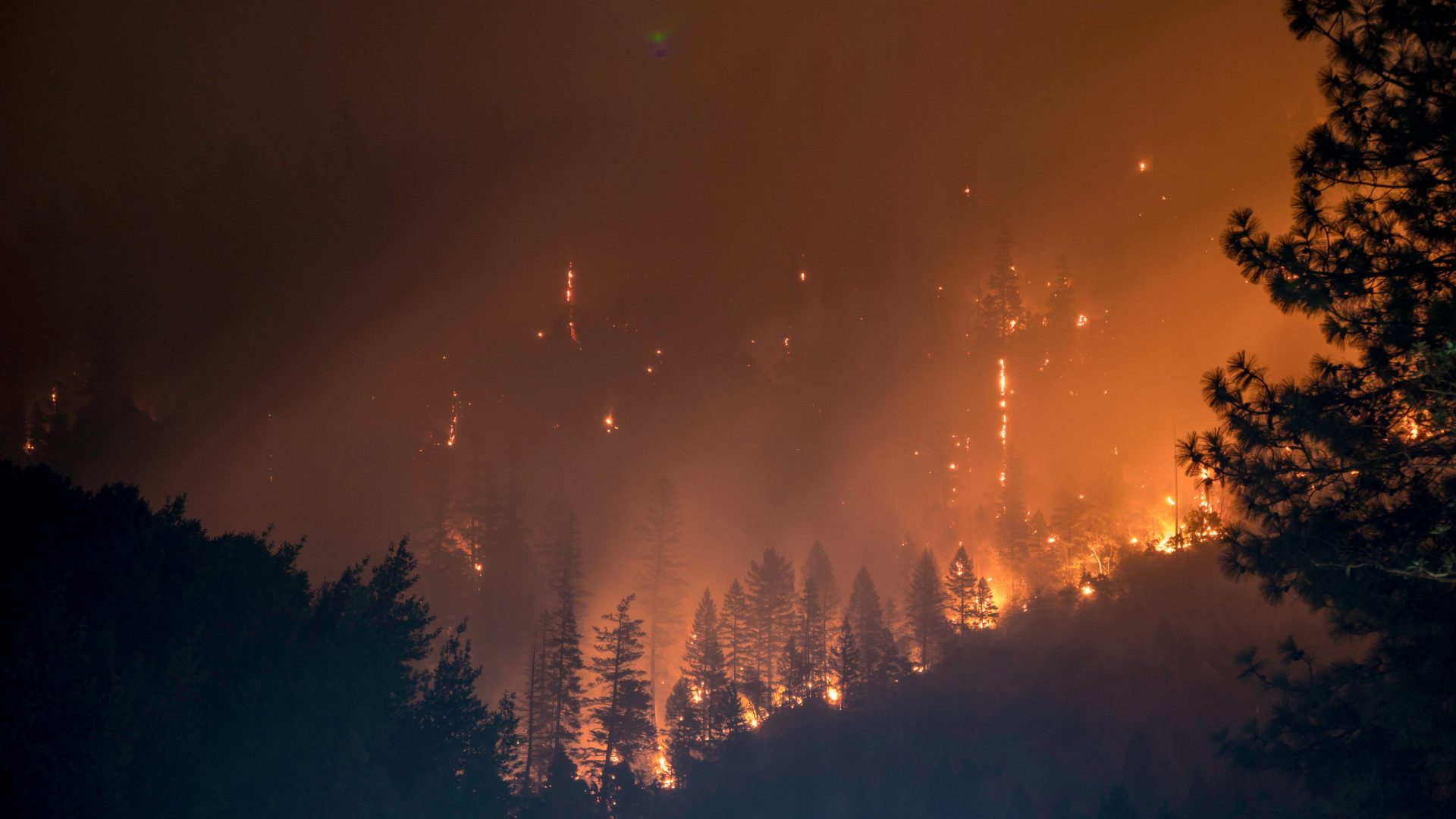Incendio forestal en España, agosto 2025 (Fuente: Agencias)