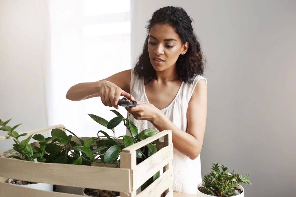la planta de corte botanica femenina africana hermosa joven proviene en el lugar de trabajo copia espacio Moncloa