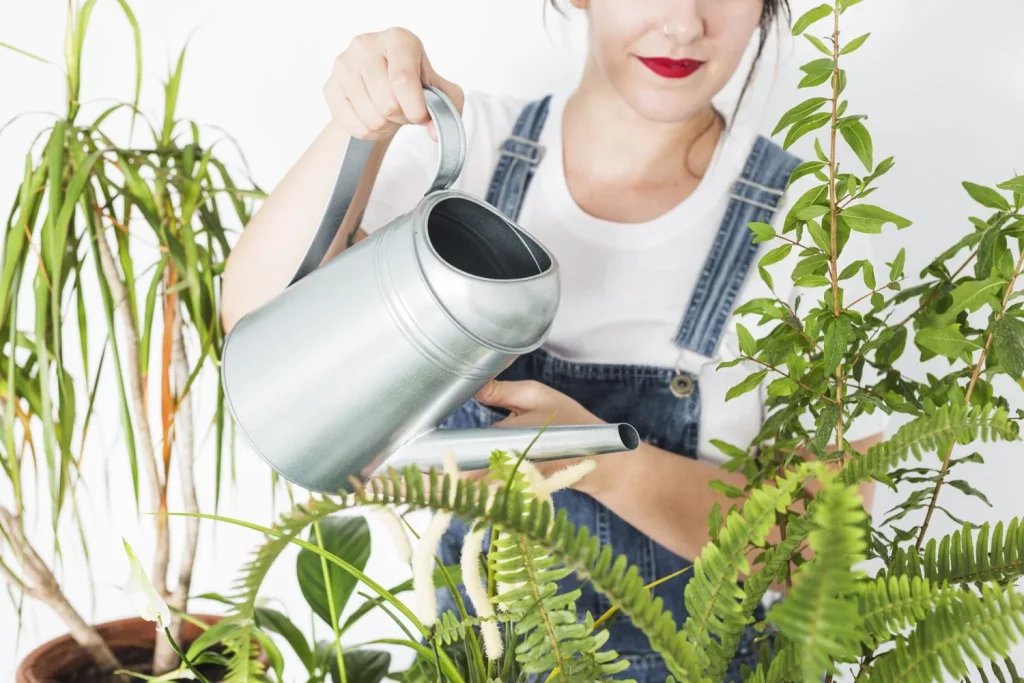 mujer vertiendo agua en plantas con regadera Moncloa