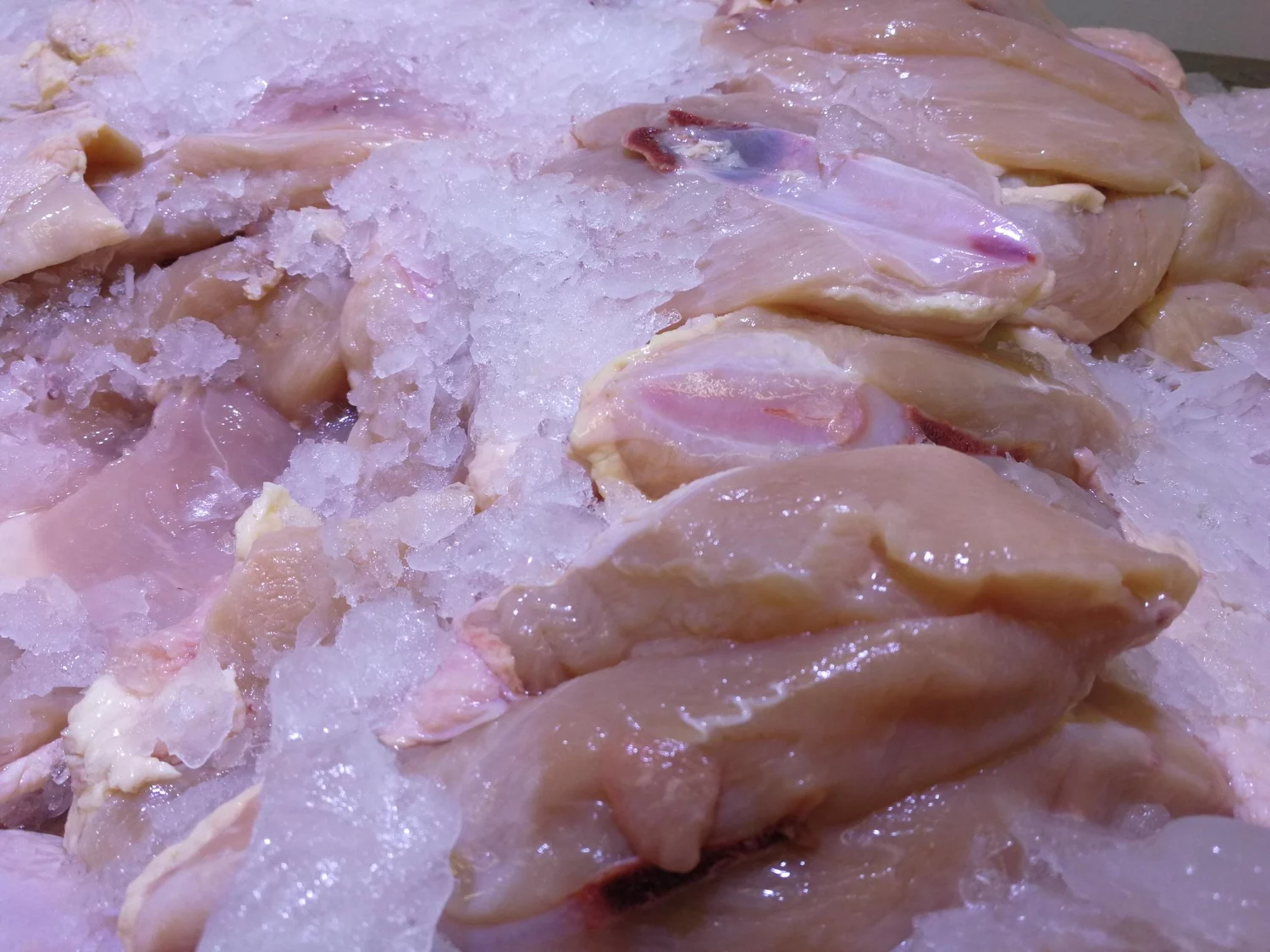 "Congelar el pollo así es un delito" Diego Cuello (29), inspector de Sanidad revela el error fatal que casi todos cometemos y puede causar salmonelosis 1 Moncloa El peligro no empieza en el congelador, sino mucho antes, con un gesto que damos por sentado.