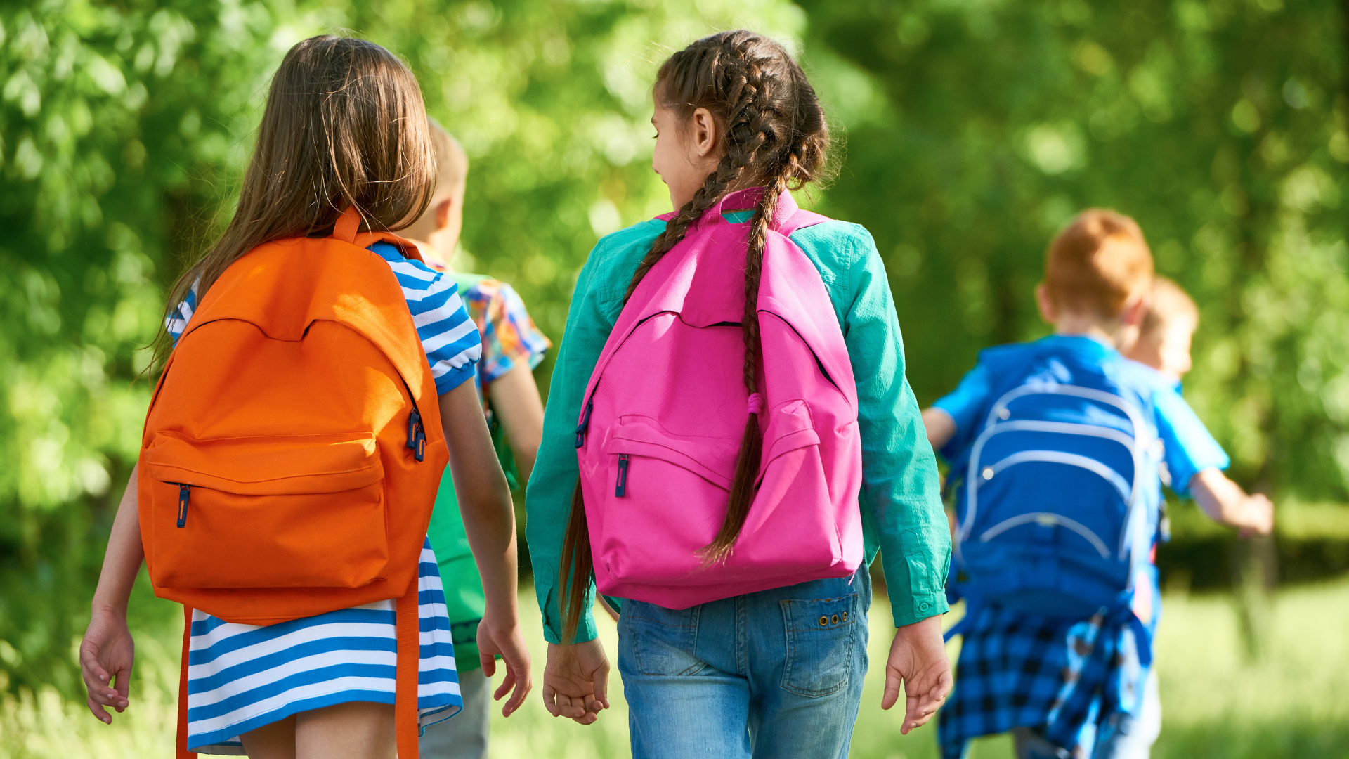 Ms de 500 euros en la vuelta al cole consejos para garantizar la proteccin de nuestras compras Moncloa