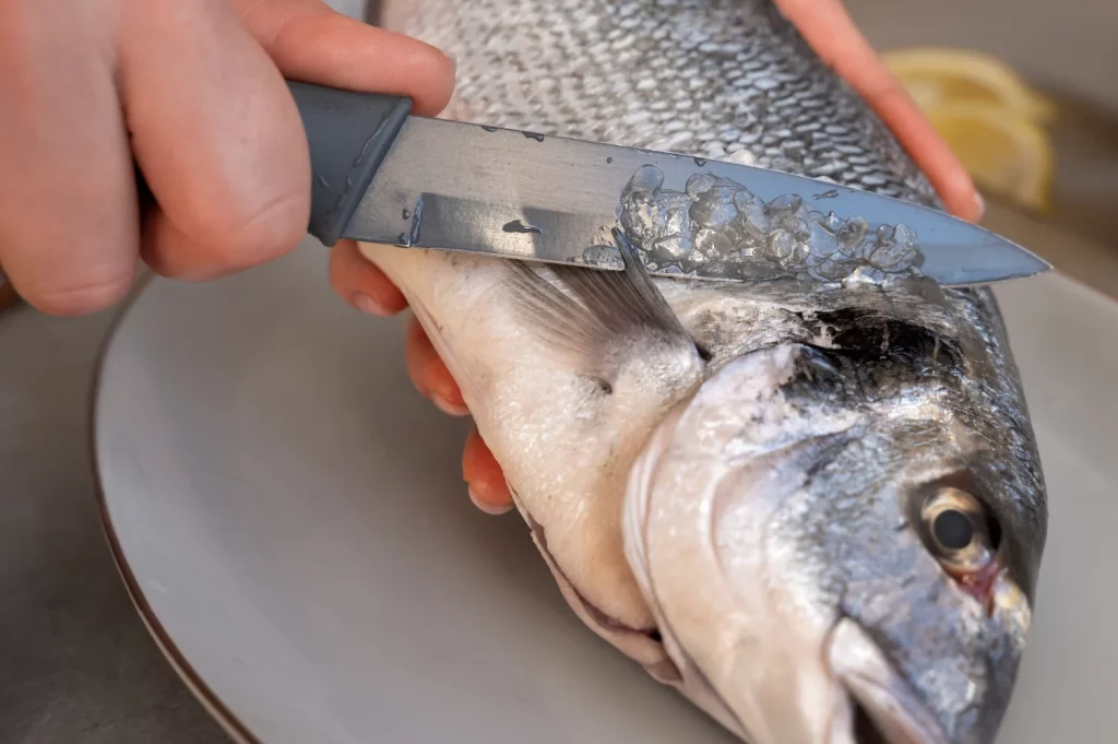 La longevidad y la dieta de un pescado son factores determinantes para la cantidad de mercurio que puede llegar a tu organismo. Fuente: Freepik
